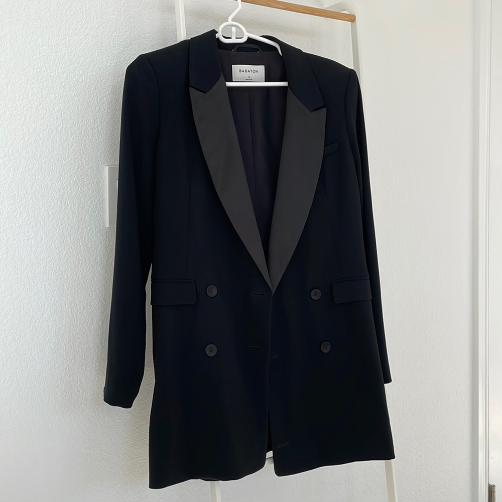 Aritzia Babaton blazer